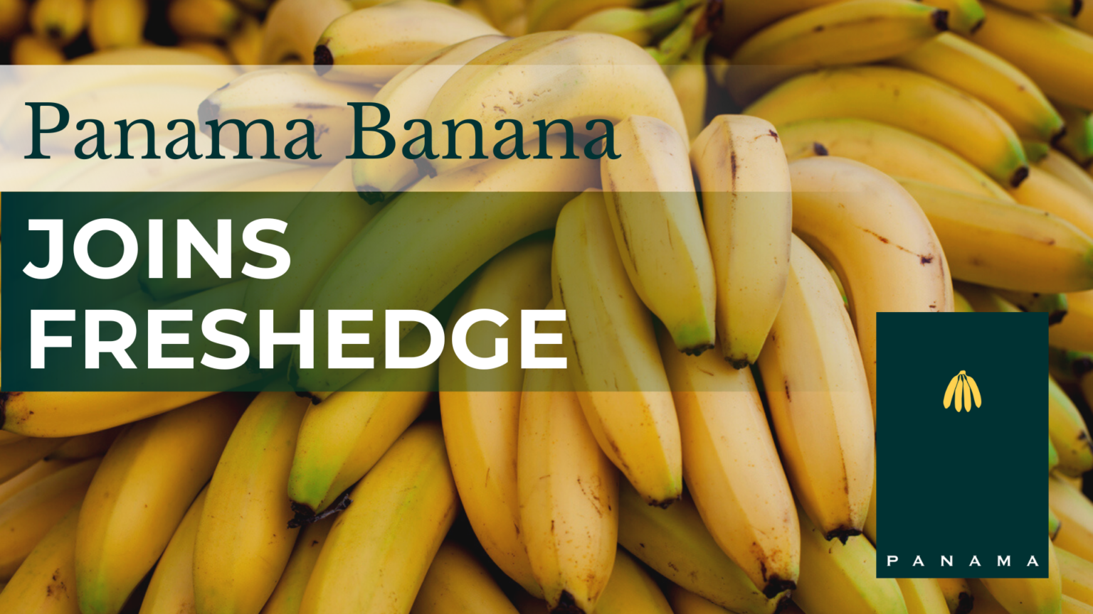 news-freshedge